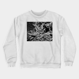 Glacier National Park black and white tree stump Crewneck Sweatshirt